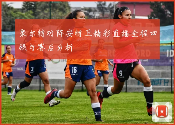 聚尔特对阵安特卫精彩直播全程回顾与赛后分析