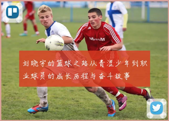 刘晓宇的篮球之路从青涩少年到职业球员的成长历程与奋斗故事