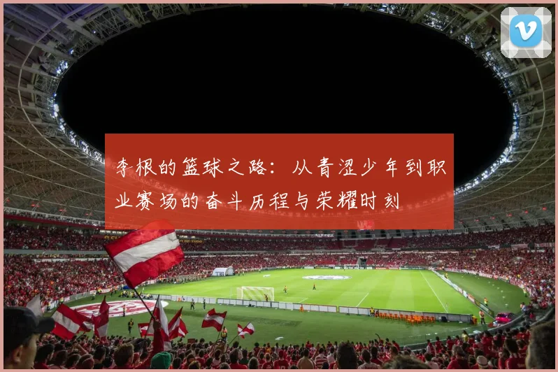 李根的篮球之路：从青涩少年到职业赛场的奋斗历程与荣耀时刻