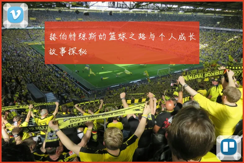 赫伯特琼斯的篮球之路与个人成长故事探秘