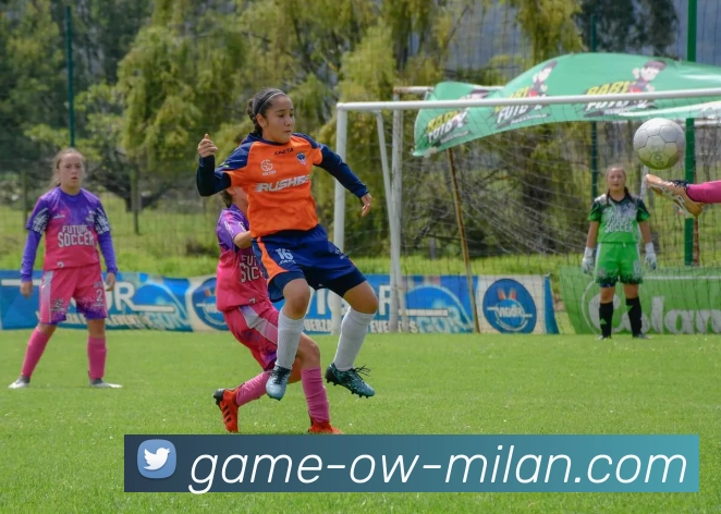 米兰体育平台生态图